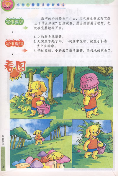 三年级看图写话小熊找朋友作文(三篇)