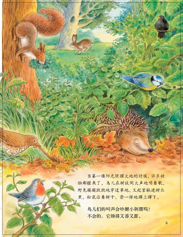 自然绘本自然环境,自然绘本,自然科学绘本(第13页)_大山谷图库